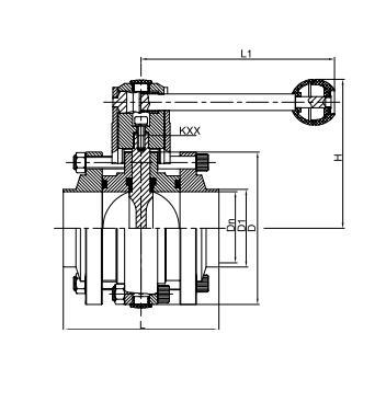 sanitary butterfly valve