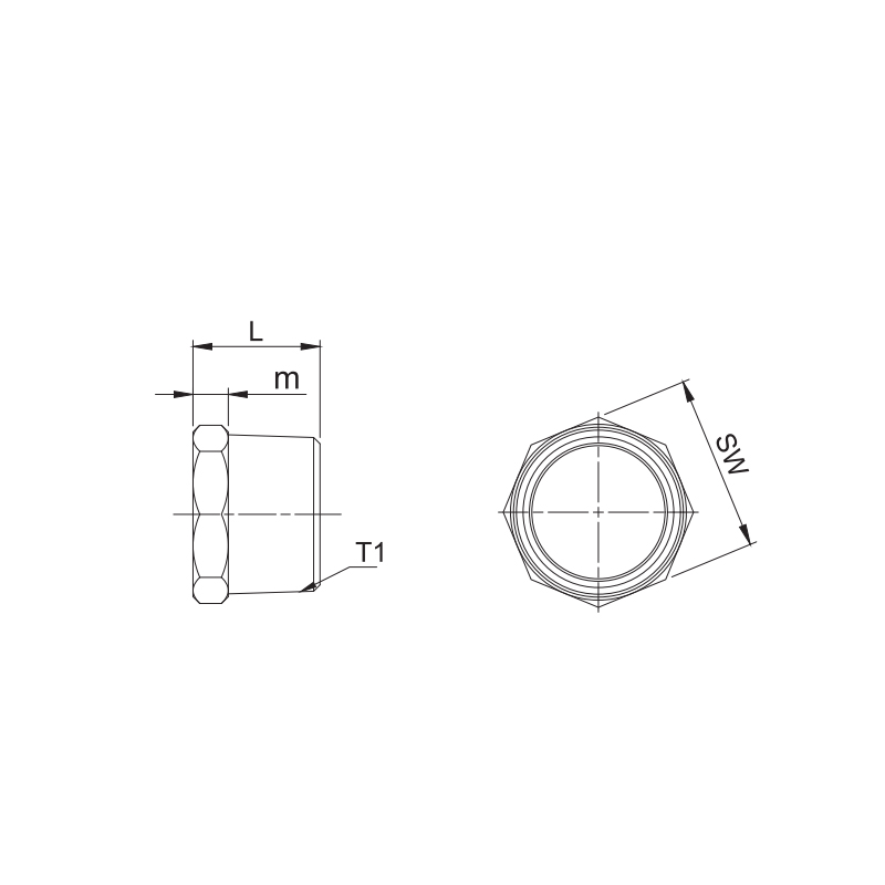 hex pipe plug