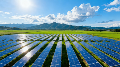 is solar energy renewable​