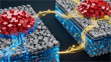 lithium ion battery​