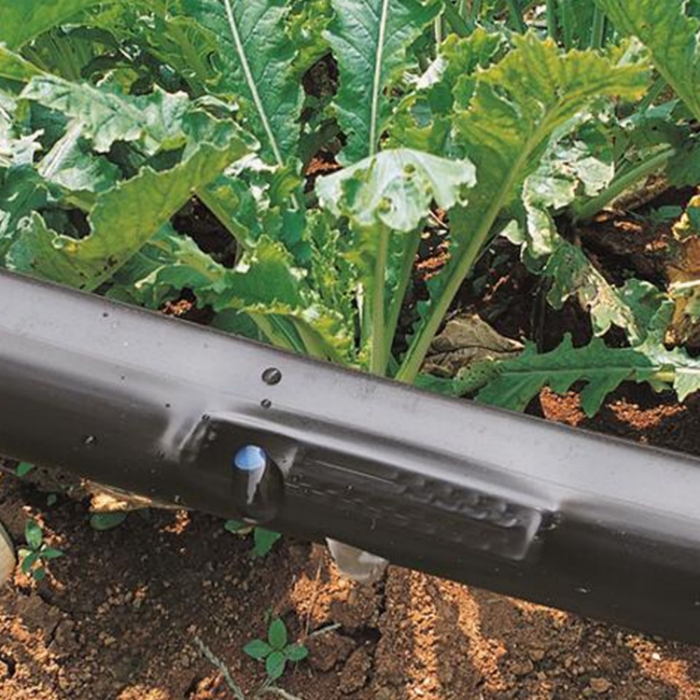 Flat Drip Tape – Vegetable Planting Irrigation