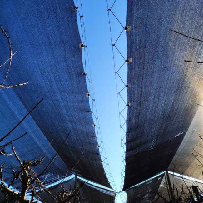 Shade Net — Used for orchard sun protection