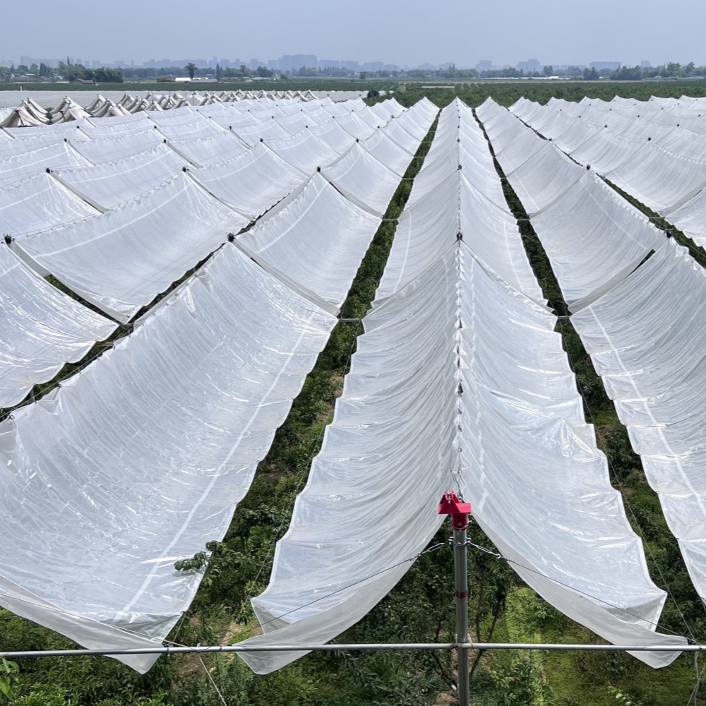 Orchard rain cover