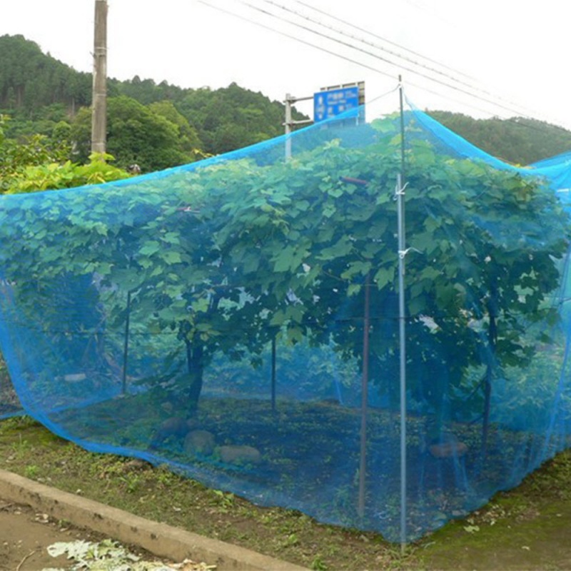 Anti Insect Mesh – Blue Insect Net Providing Full Coverage for Fruit Trees
