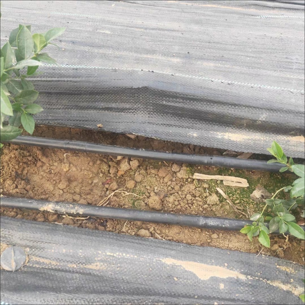 Irrigation tubing – Surface or Subsurface Installation
