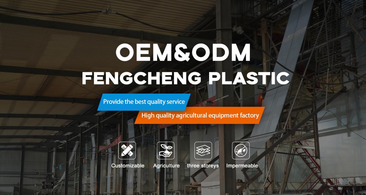 Clear Greenhouse Plastic – Fengcheng Plastic Blown Film Factory Real Photo