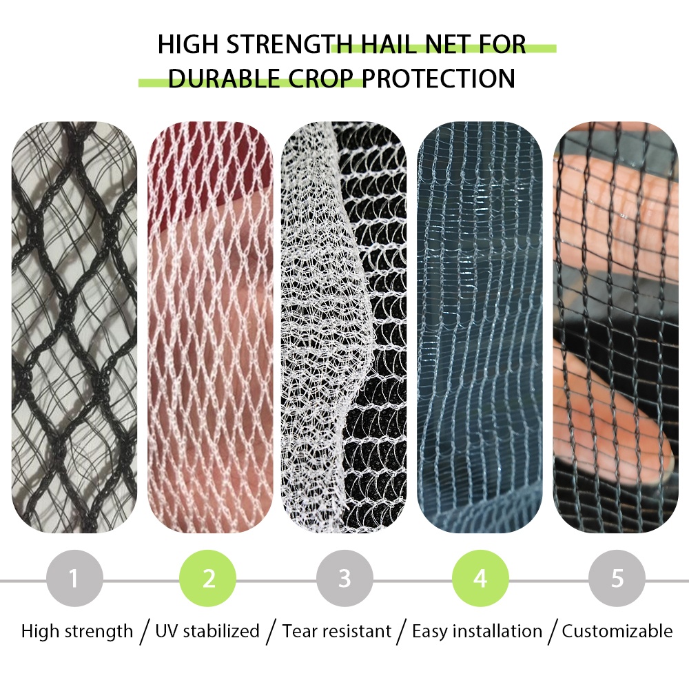 Orchard Hail Netting – Various Styles and Design Details