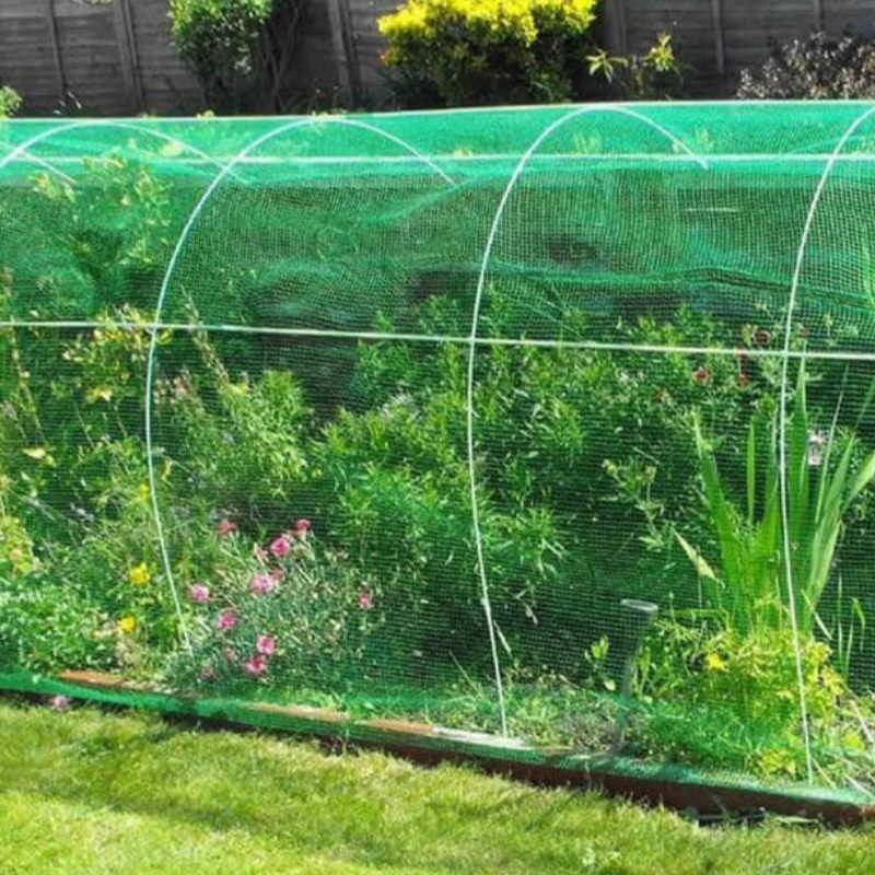 Anti Insect Mesh – Green Insect Net Covering Flowers