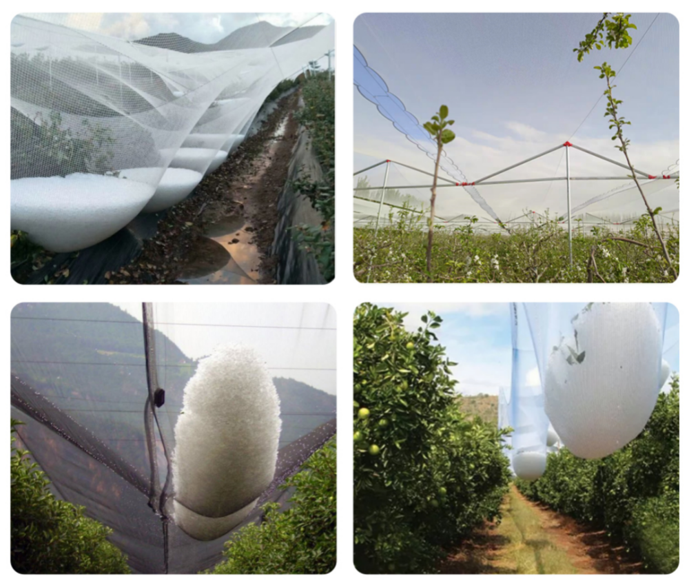Cross Anti-Hail Net – Hail Net Applied in Orchard Scene