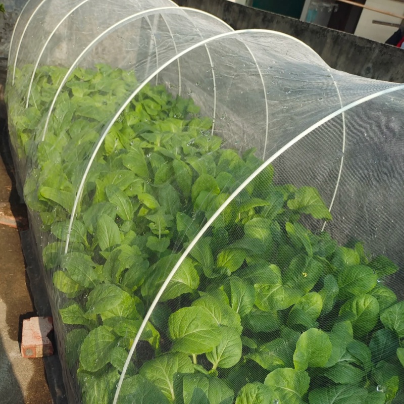 Anti Insect Net – Backyard and Small Hoop Tunnel Protection