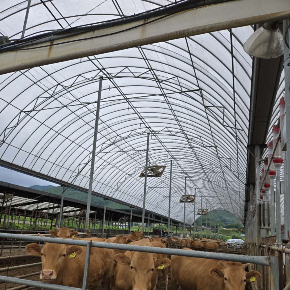 Woven Greenhouse Plastic – Woven Film Application in Livestock Farming