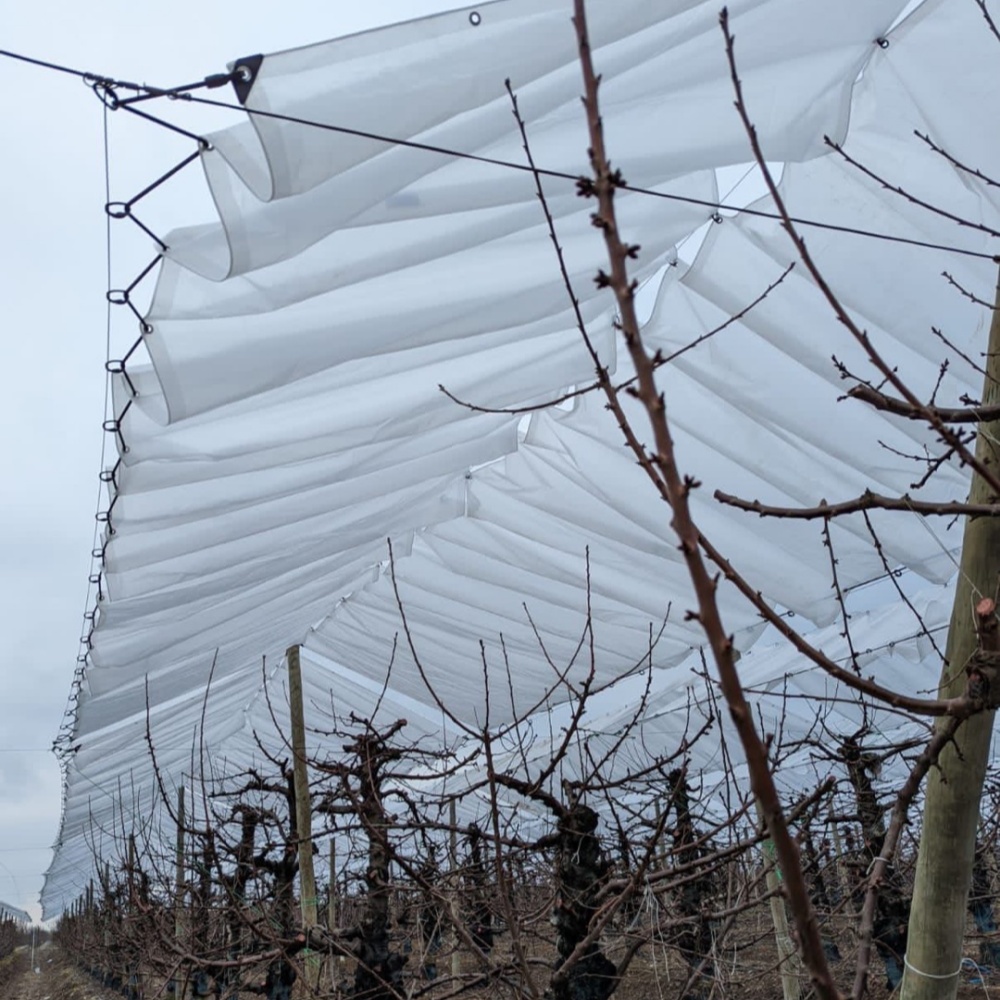 Elastic Rope – Used for Securing Rain Shelter