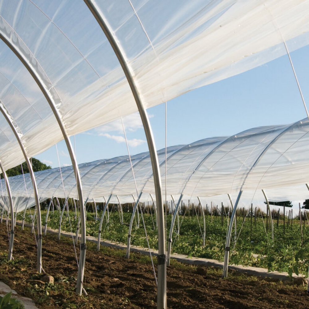 Greenhouse Film