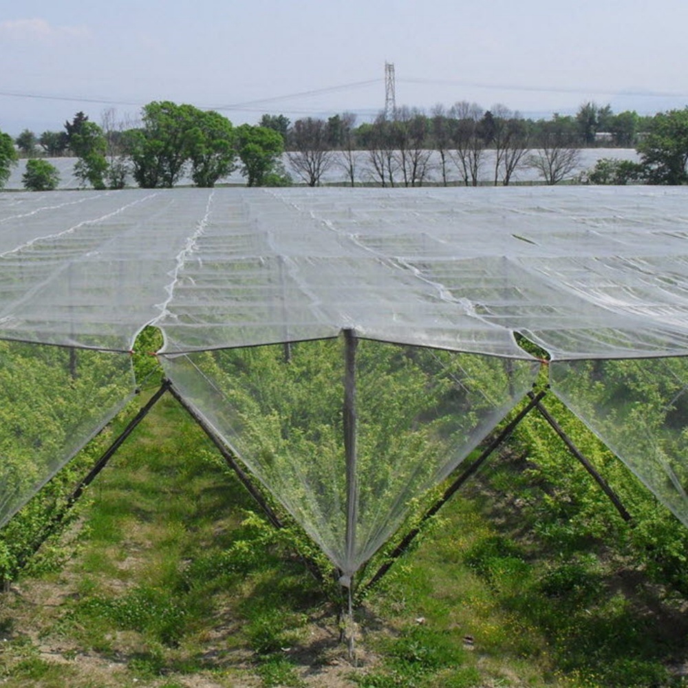 hail net