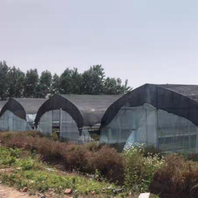 Shade net