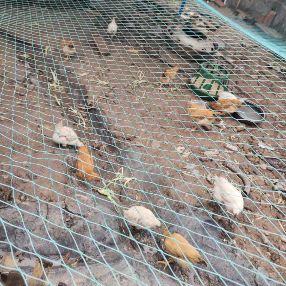 Nylon Bird Net – Used for Poultry Protection
