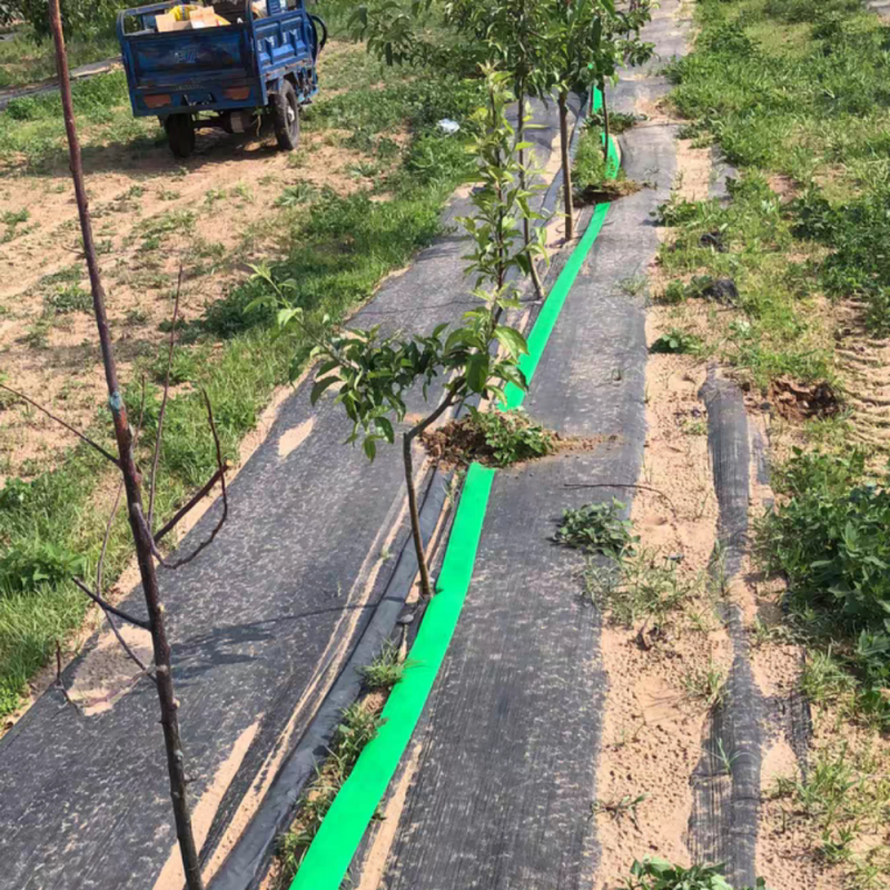 Drip system for vegetable garden – Crop Irrigation Scenario