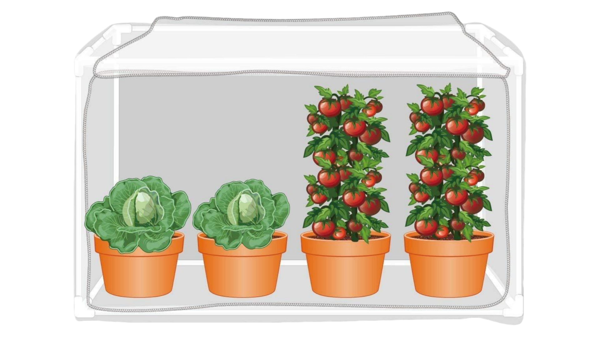 Anti Insect Net – Tent-Style Custom Cover for Crops