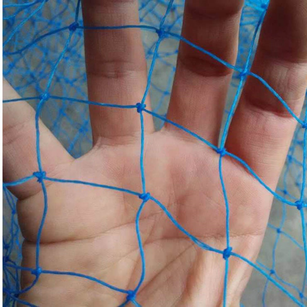 Nylon Bird Net – Blue Nylon Bird Net