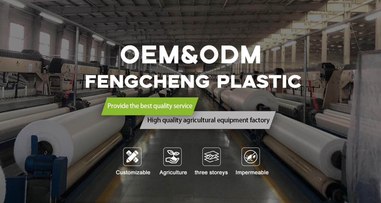 Woven Greenhouse Plastic – Fengcheng Woven Film Factory Real Photo