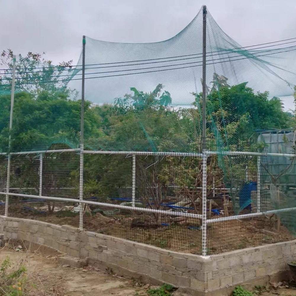 PE Anti Bird Net – Poultry Protection Application