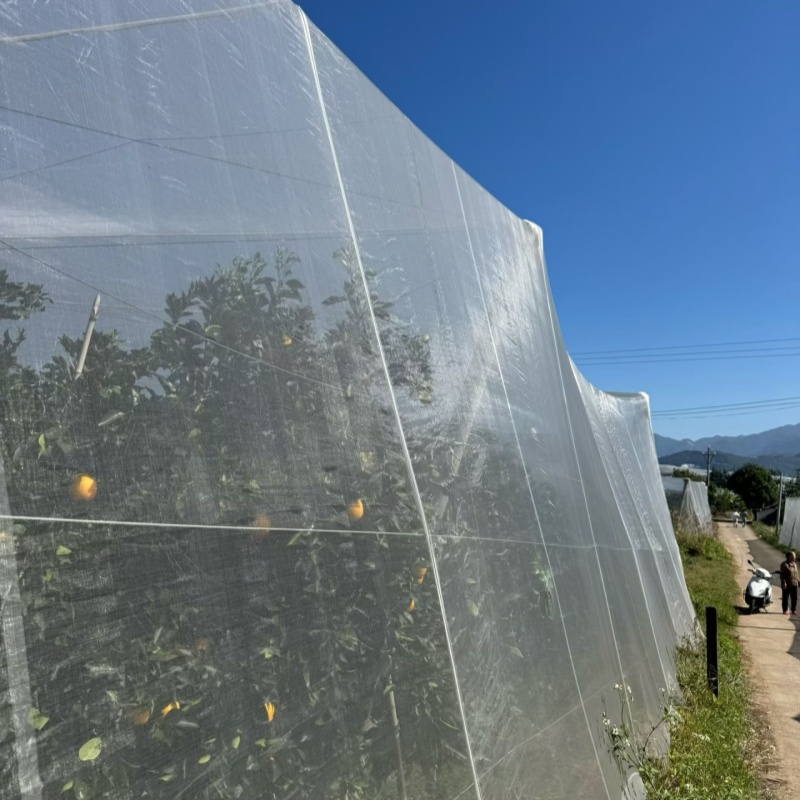 Garden windbreak netting – Used as Greenhouse Vent Screen
