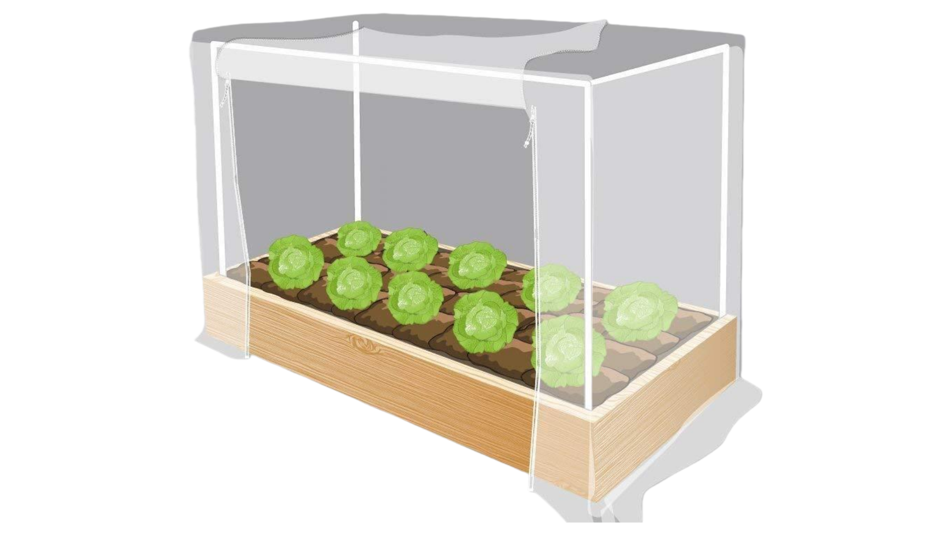 Anti Insect Net – Garden Bed Protection Using Insect Net