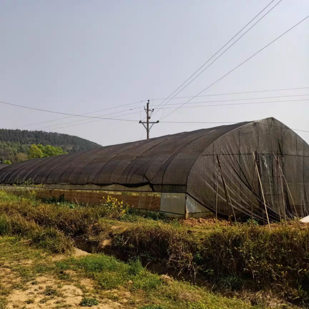 Greenhouse shading cloth – Farming and Greenhouse Use