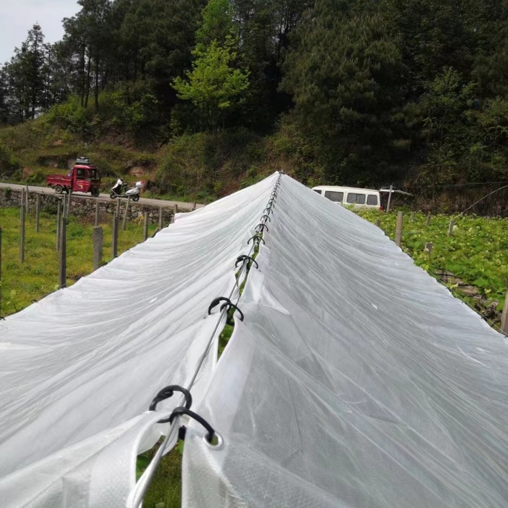 C Hooks and S Hooks – Dual Big C Hooks Used for Orchard Rain Cover