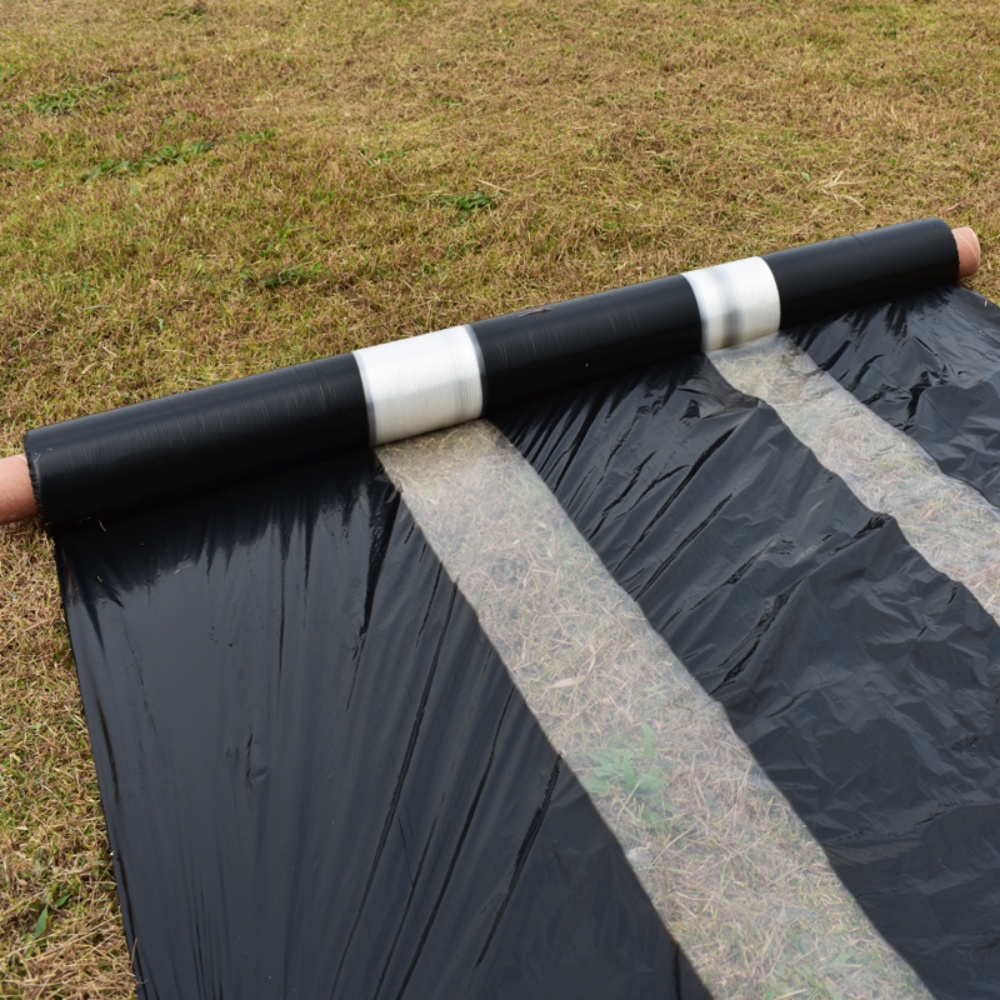 Mulching sheet with holes – Customizable Number of Stripes Available