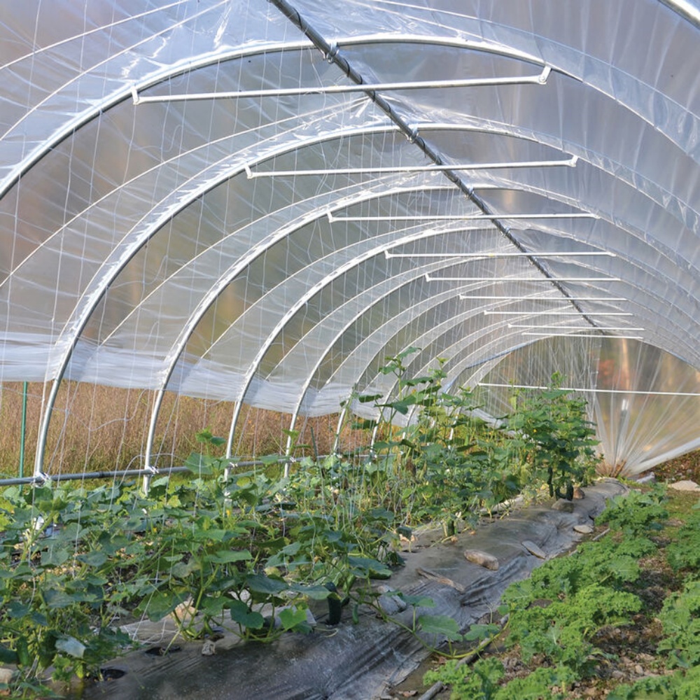 Greenhouse film