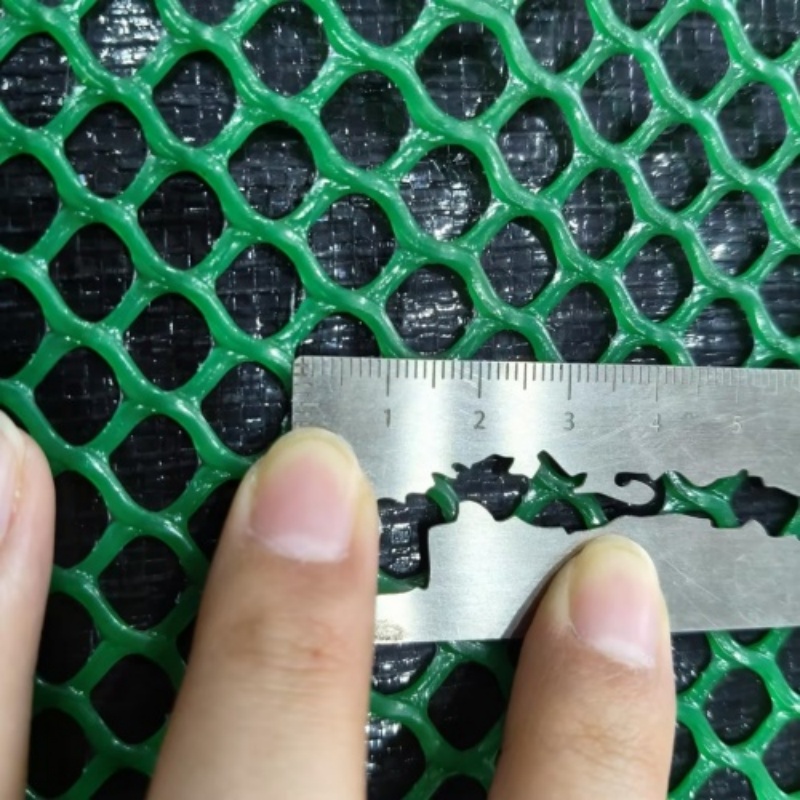 Green color, 1cm mesh size