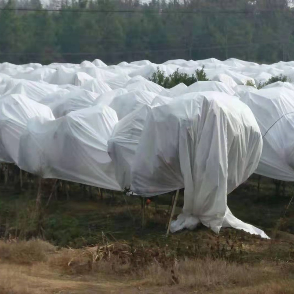 Plant covers for winter – Suitable for Citrus, Pomelo, Lemon, Loquat, Peach, Cherry, and Other Fruit Trees