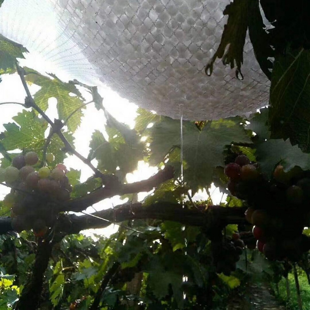 HDPE Anti Hail Net – Full Orchard Coverage Application