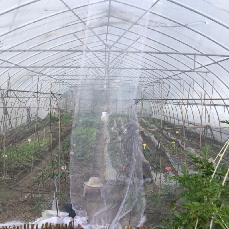 Garden windbreak netting – Row Divider for Open Field Cultivation