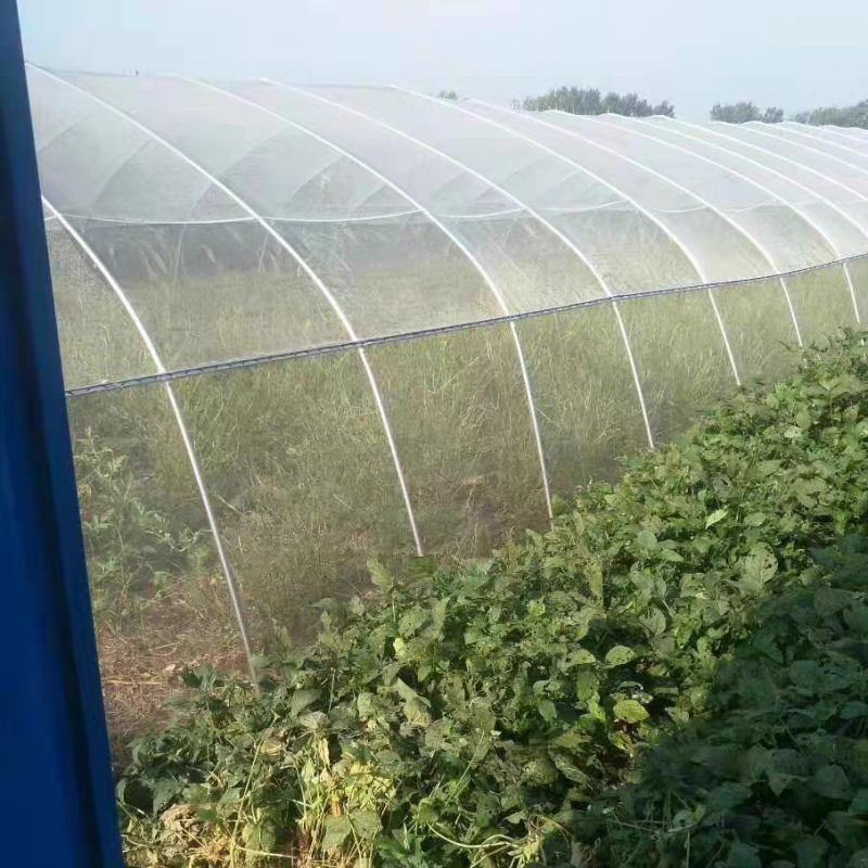 Anti Insect Net – Covering Entire Greenhouse with Insect Net