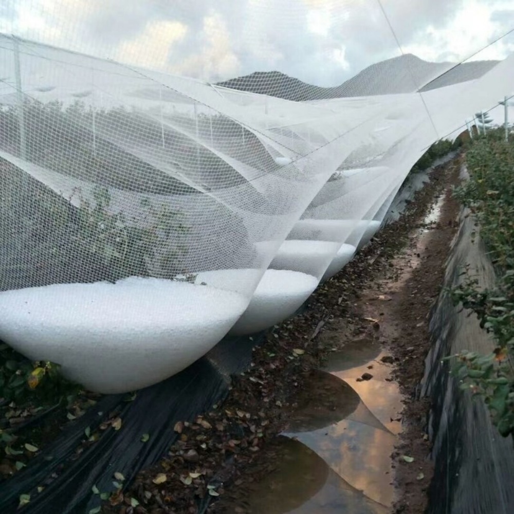 Hail net