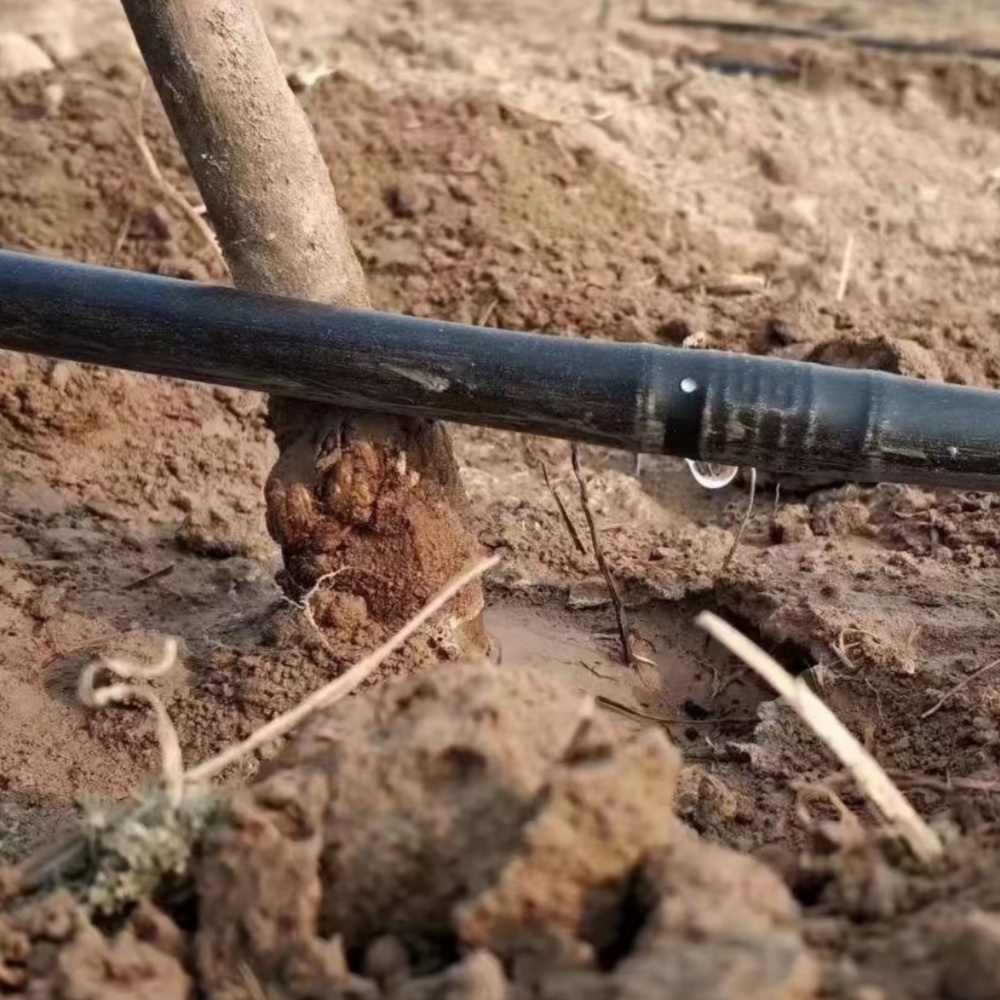 Irrigation tubing – Flowers and Ornamentals