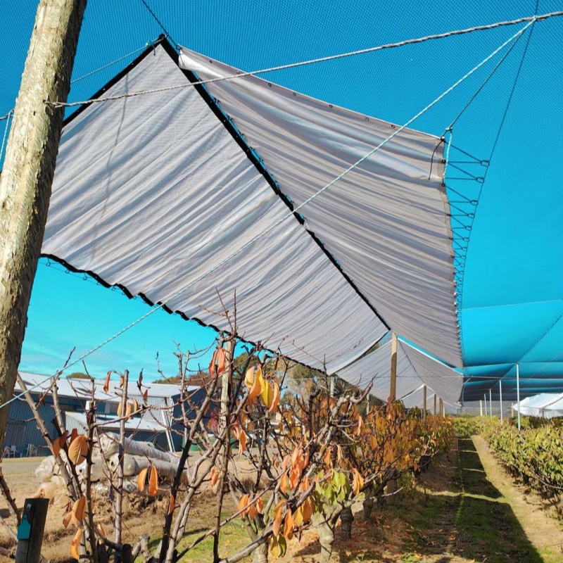 Clear Waterproof Tarpaulin – Customer Application Feedback from Australia