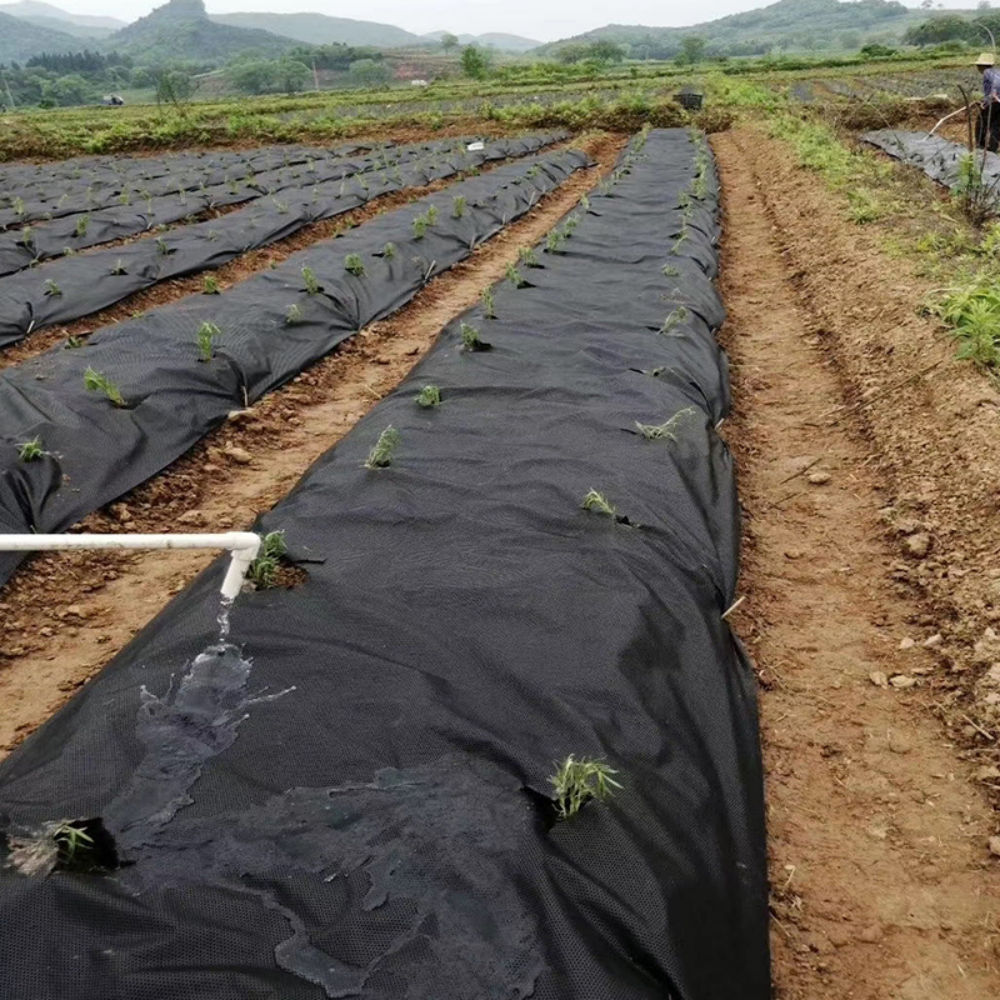 Weed barrier cloth – Used in Planting Areas for Weed Prevention