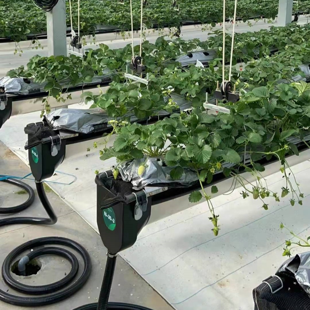 Woven Weed Mat – Used for Weed Control in Strawberry Cultivation