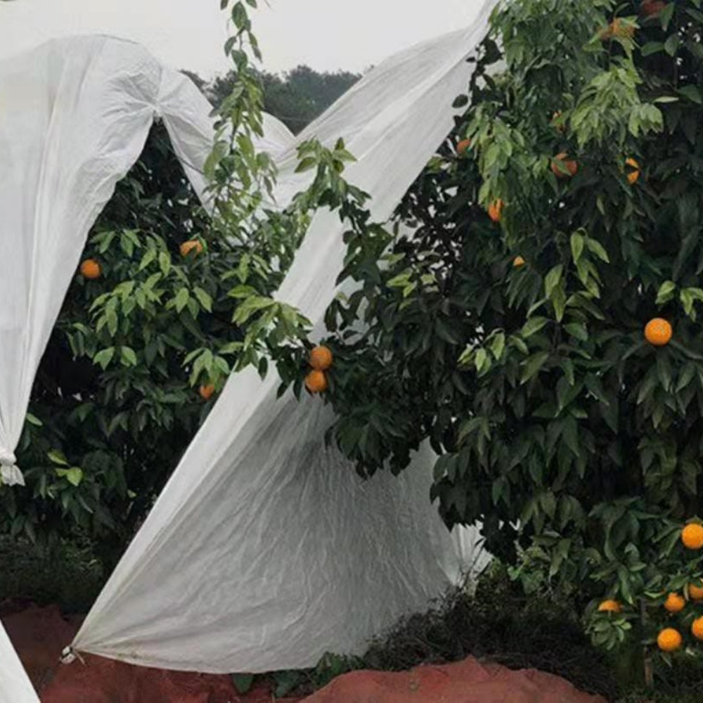 PP Non-woven Fabric