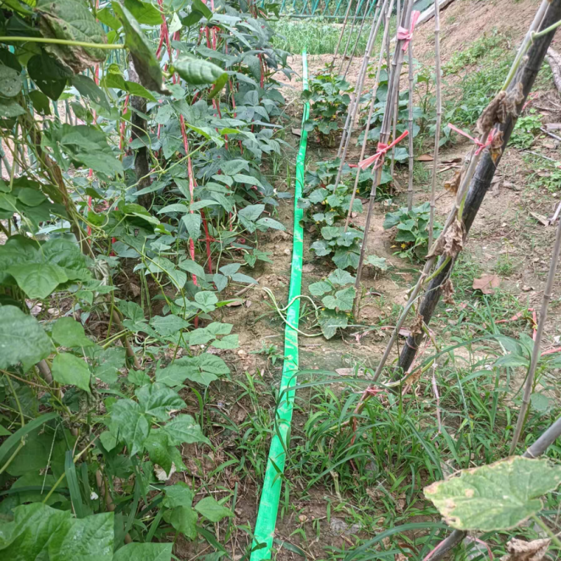 Drip system for vegetable garden – Agricultural Irrigation Application