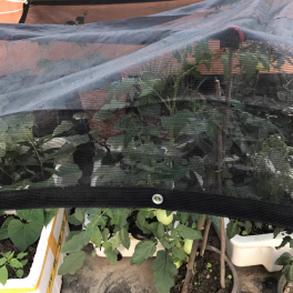 Garden shade net – Application Scenarios