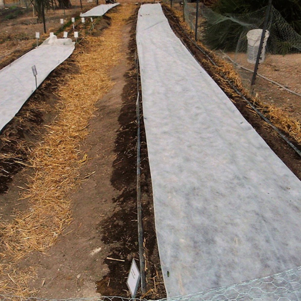 Plant covers for winter – Used for Vegetable Seedbeds, Strawberries, Leafy Greens, Nursery Transplants, and Flower Cultivation
