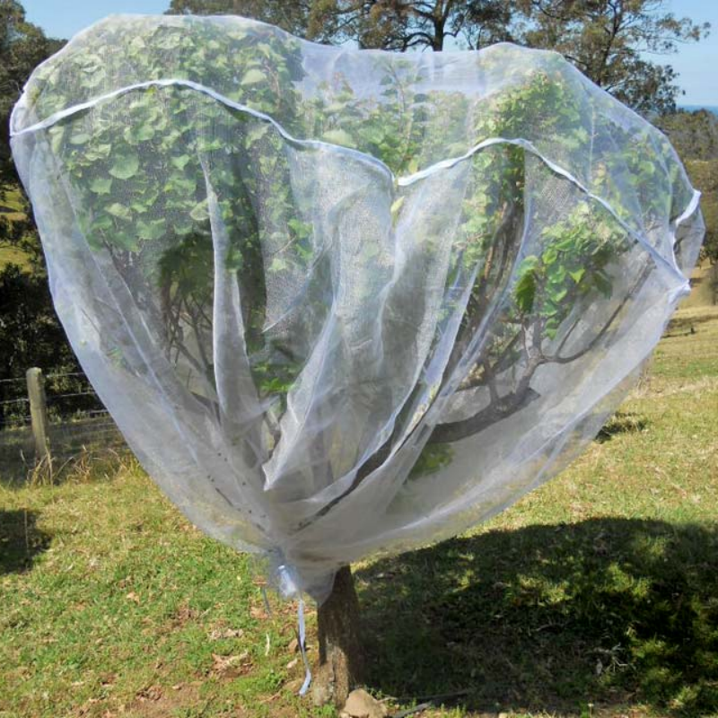 Anti Insect Mesh – Custom Net Cover for Fruit Trees