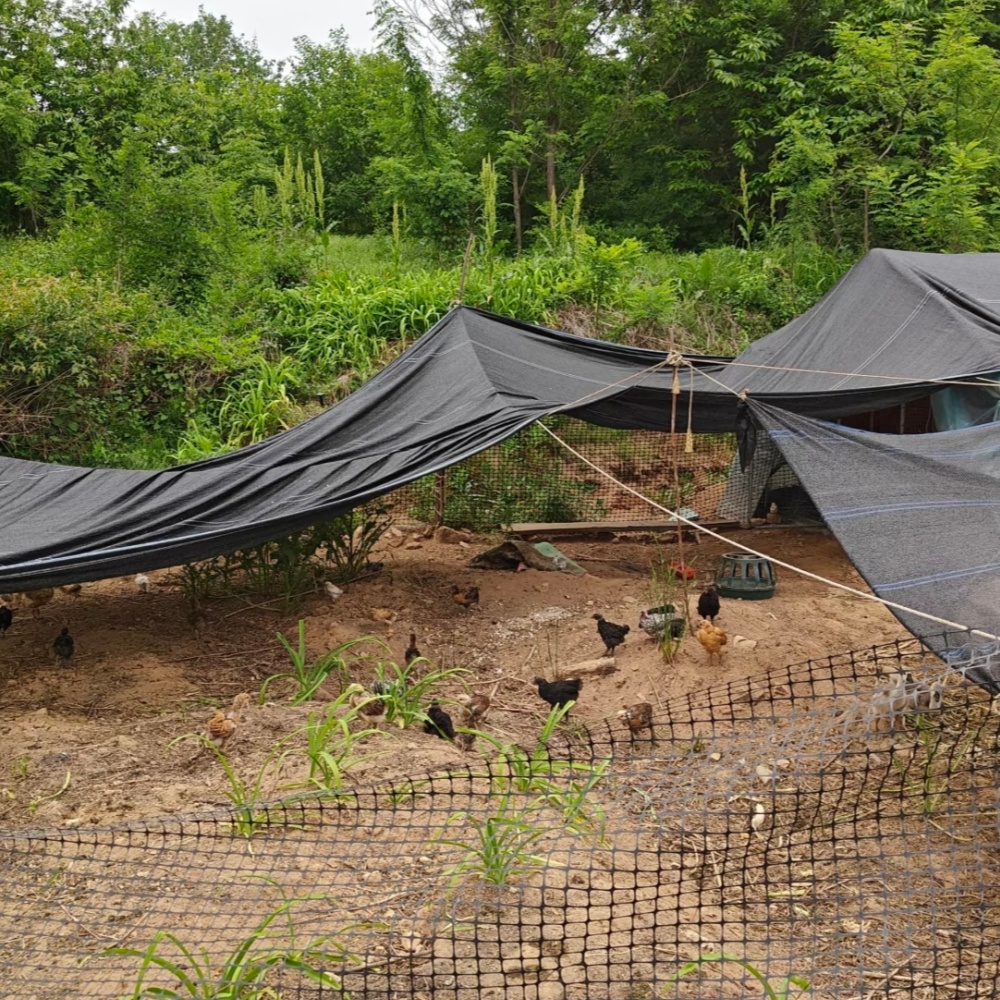 Greenhouse shading cloth– Livestock and Aquatic Facilities