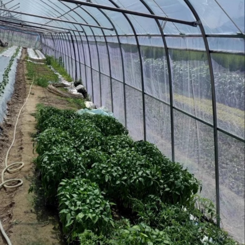 Anti Insect Mesh – Combined Vent and Insect Protection for Greenhouse