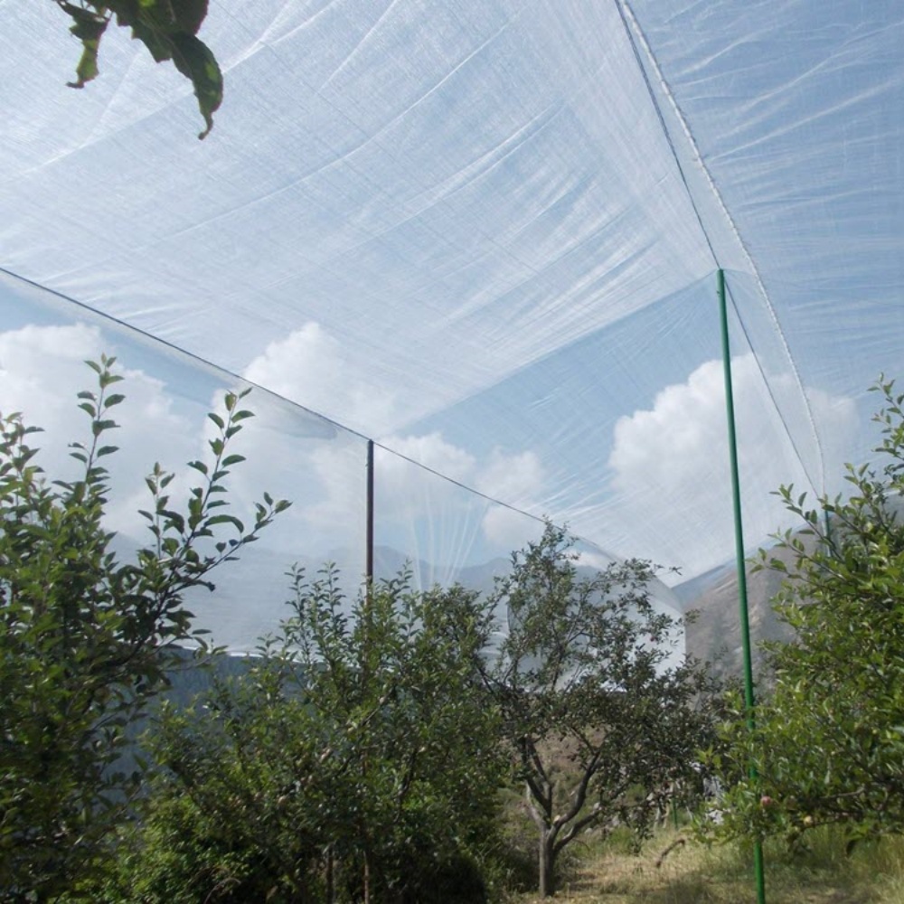 Hail Protection Mesh – Hail Net Applied in Orchard Scene