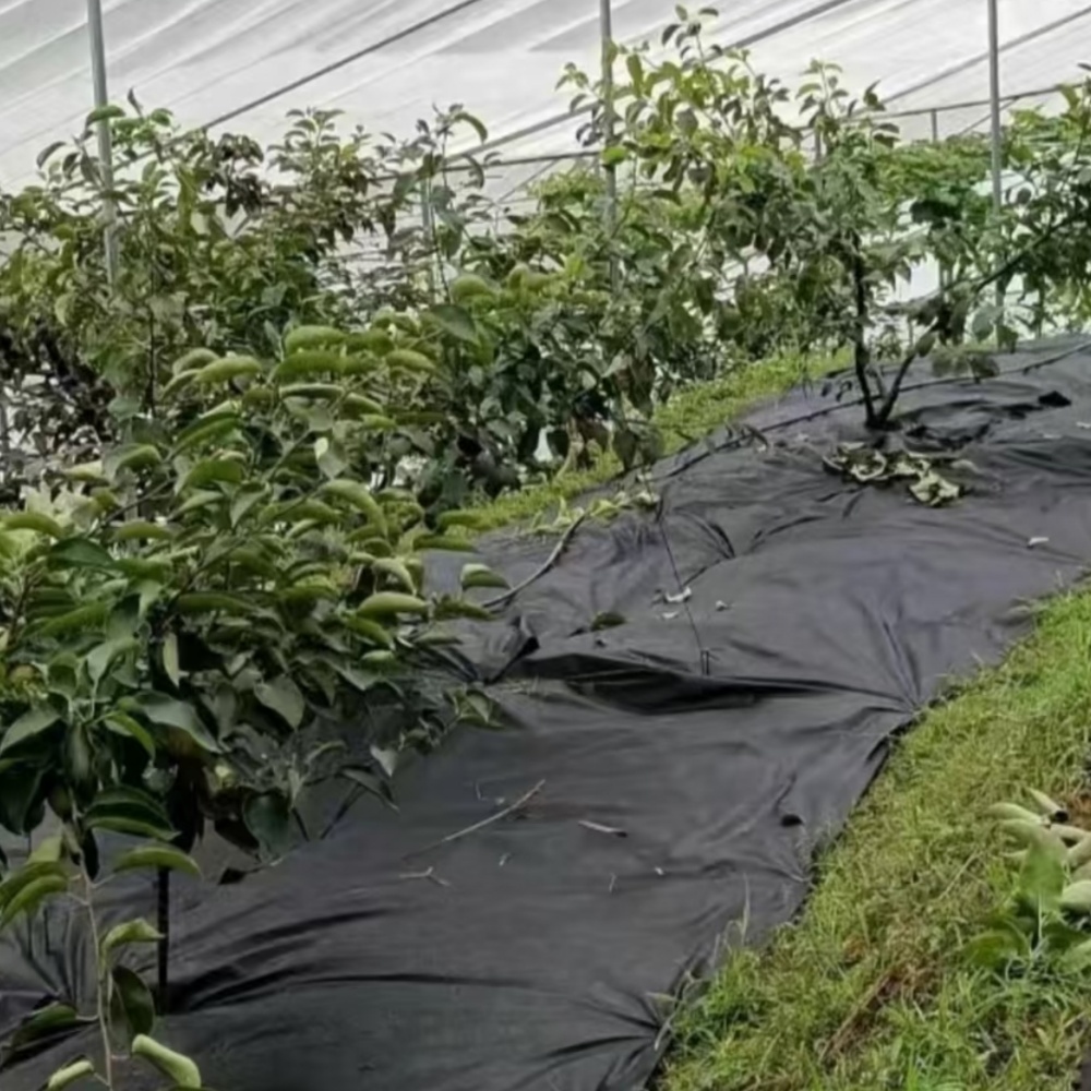Weed barrier cloth – Used in Planting Areas for Weed Prevention